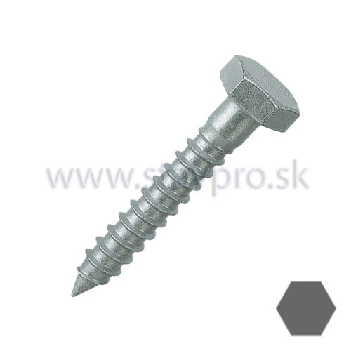 Vrut so šesťhrannou hlavou DIN 571 zinok
